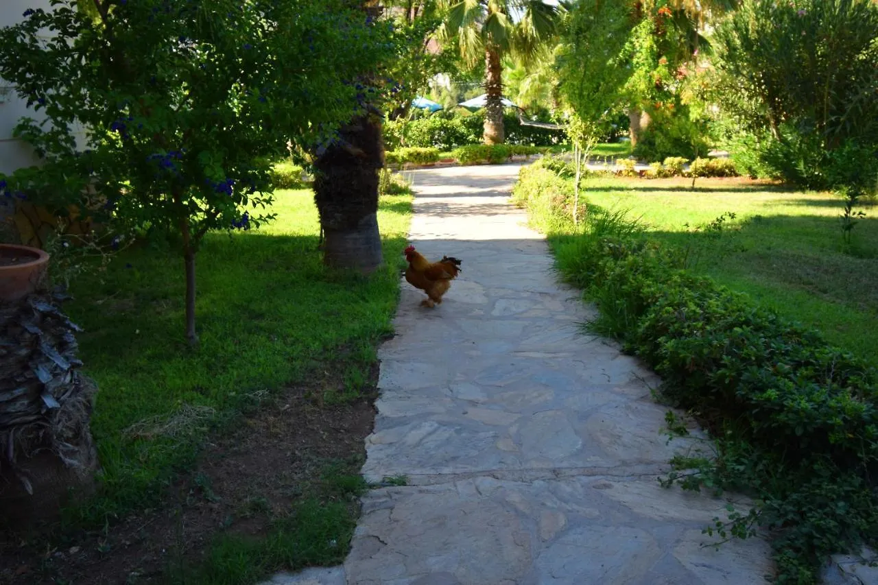 Adrasan Beach Club Hotel Antalya